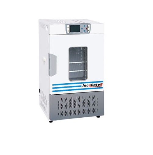 Intelligent Mold Incubator